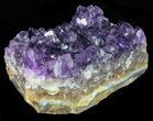 Purple Amethyst Cluster - Uruguay #58162-1